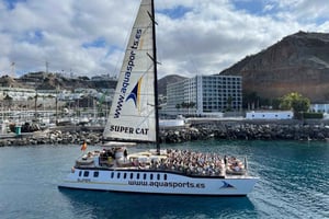 Puerto Rico de Gran Canaria: Premium Dolphin Catamaran Tour