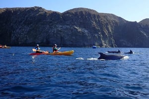 Tenerife: Kayak Sea Safari with Snorkel and Snacks