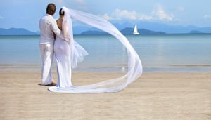 Planera ditt bröllop med Hollywood-flärd