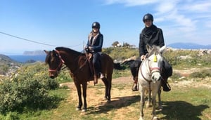 Harriet's Hydra Horses