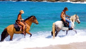 Horseland Mykonos