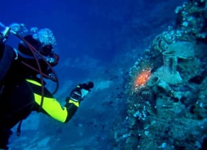 Kalymnos Diving Center