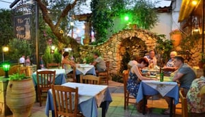 The Olive Tree
