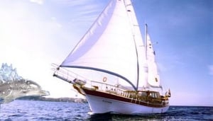 Traditional wooden yachts Charter