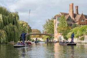 Cambridge : Visite à pied et punting organisée par les anciens élèves avec le Kings College