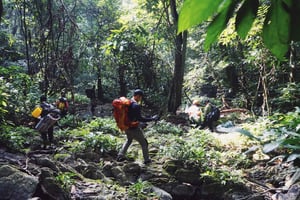 Cuc Phuong nasjonalpark: Trek & Camp i jungelen 2 dager