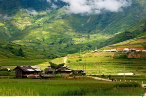 Fra Hanoi: 2-dagers fottur i Sapa med innkvartering og måltider i hjemlandet