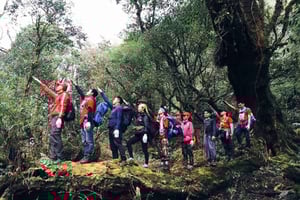 Ab Hanoi: 3-tägige Pu Ta Leng Trekking Tour mit lokalem Guide