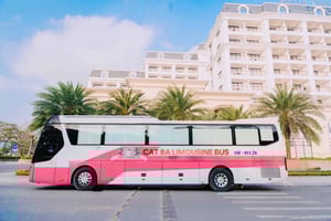 VIP VAN: HA NOI naar CAT BA OF retour met luxe