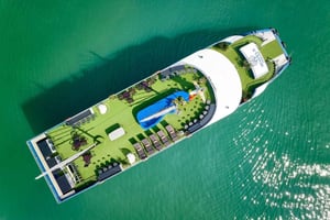 Fra Hanoi: Ha Long-bukten 1-dagers tur med luksuscruise