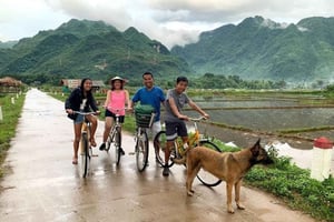 Из Ханоя: однодневная экскурсия в Май Чау с велосипедной прогулкой и обедом