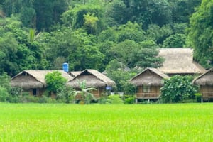 Au départ de Hanoi : excursion de 4 jours à Mai Chau, Pu Luong et Ninh Binh