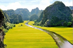 Depuis Hanoi : Ninh Binh, Hoa Lu, Tam Coc et la grotte de Mua