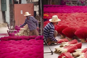 Da Hanoi: Villaggio dell'incenso di Quang Phu Cau e tour di Ninh Binh