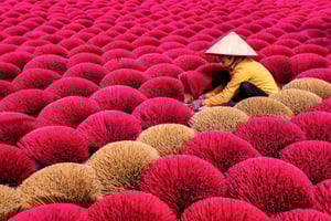 Vanuit Hanoi: dagtour naar Trang An, Hoa Lu en Hang Mua-grot