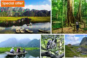 Fra Ninh Binh: Cuc Phuong - Van Long-reservatet - små grupper