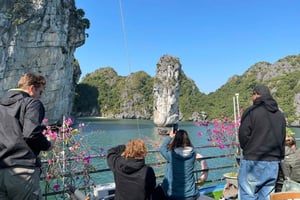 Ha Noi/Cat Ba: Lan Ha-bugten – Viet Hai-landsbyen, cykling, kajaksejlads