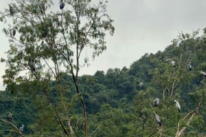 Hanoï : excursion de 2 jours à Ninh Bình avec sortie en bateau et pagodes