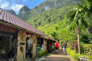 Hanoi/Catba: 2-Day Adventure Cat Ba National Park,Lan Ha Bay