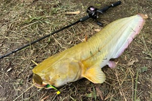 Hanói: Experiência de pesca do peixe-gato com traslado de ida e volta