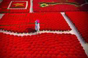 Hanoi: Den gamle landsby Cuu, røgelseslandsbyen og Dau-pagoden