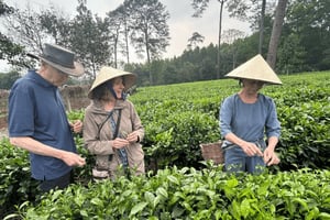 Hanoi Eco Tour: Ba Vi National Park Wonders & Tea Plantation