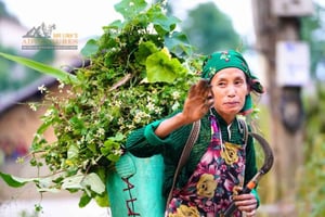 Hanói: trilhas de Ha Giang (5 dias com refeições)