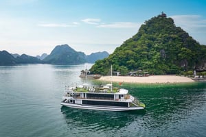 Hanoi: Dagstur i Halongbukta med 5-stjerners cruise og transport