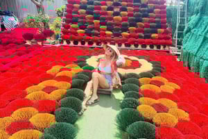 Hanoi wierookdorp, hoeden maken/Ninh Binh, Tam Coc-tour