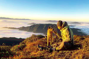 Hanoï : randonnée à Lùng Cúng avec un guide local