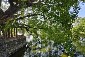 Hanoi: Dich Diep-byn eller fiskfälla, soja- och rökelsebyn