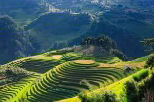 Hanoi: Premium 2/3-dages Sapa-eventyr med DCAR-limousine