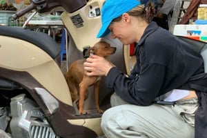 ハノイ：バイクに乗って文化を巡るツアーをお楽しみください