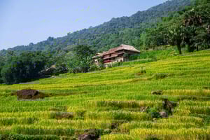 Pu Luong: Landsbypromenader, bambusrafting og risterrasser