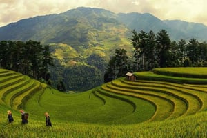 Sapa: 2-Day Fansipan Cable Car & Cat Cat Village