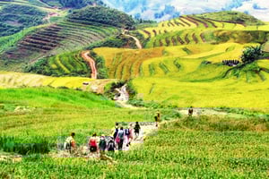 Sapa 2-dages tur: Cat Cat-landsbyen, glasbro, vandfald