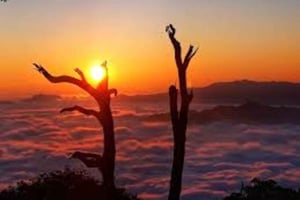 Tà Xùa Mountain Trekking Tour