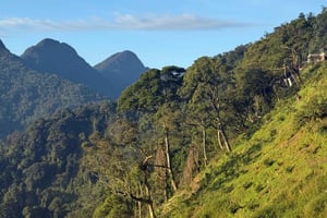 Depuis Hanoï : visite d'une journée complète à Tam Dao avec Hunting Cloud