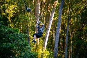 Groot eiland: Kohala Zipline en waterval avontuur van een hele dag