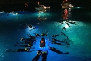 Kailua Kona: Manta Ray-eventyr om natten på Big Island