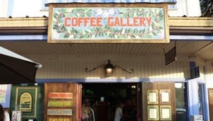 Coffee Gallery