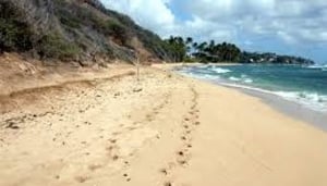 Diamond Head Beach Park