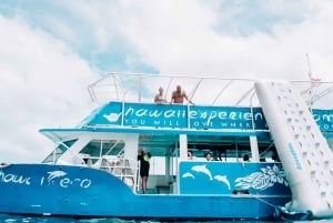 Oahu: Kilpikonnien snorklauskierros ja vesiliukumäki.