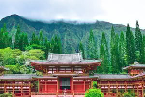 Au départ de Waikiki : visite panoramique d'une demi-journée autour de l'île d'Oahu