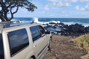 Мауи: Тур на полпути к Хане: пляж с черным песком и черепахи