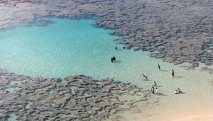 Hanauma Bay Tours