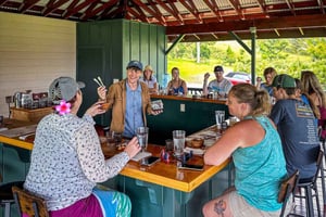 Hawaii: Verkostung von 10 Schokoladentafeln & Geschichte der Schokolade