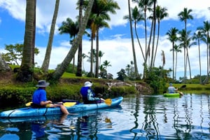 Hilo: Wailoa River to King Kamehameha Guided Kayaking Tour