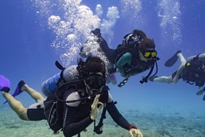 Honolulu: Descubra a experiência de mergulho autônomo