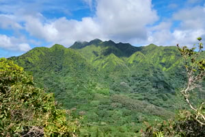 Honolulu: Vandring i Hawaiis vulkaniska regnskog